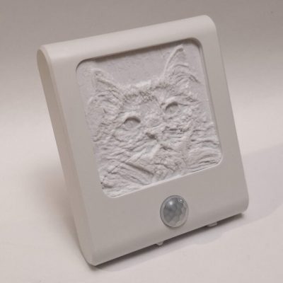 Lithophane night light